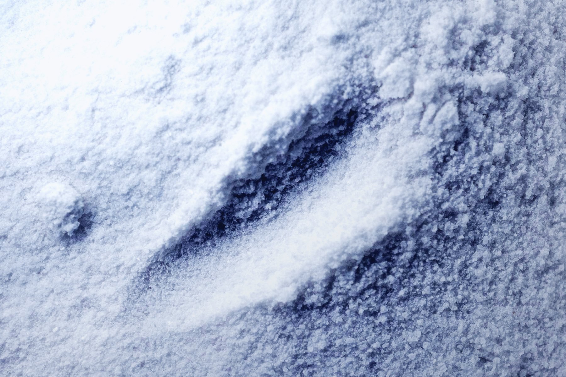 A fine powder photographed close.